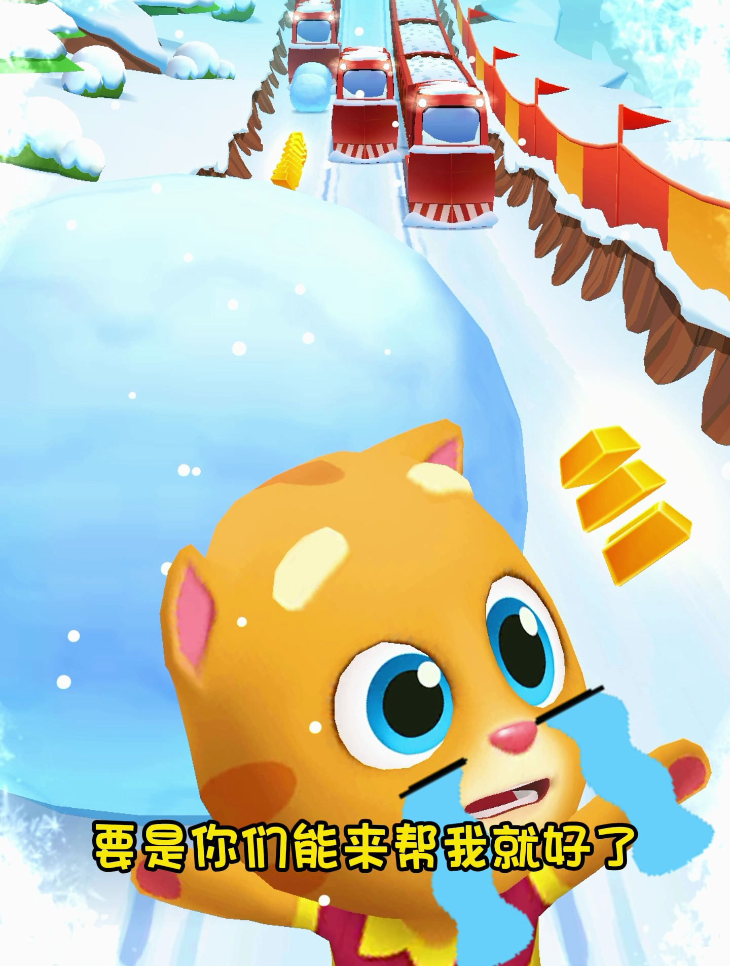 金杰猫的糖果被浣熊偷走了