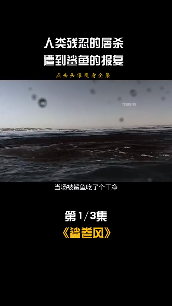 鲨卷风 龙卷风里夹杂着鲨鱼,精彩小剧场