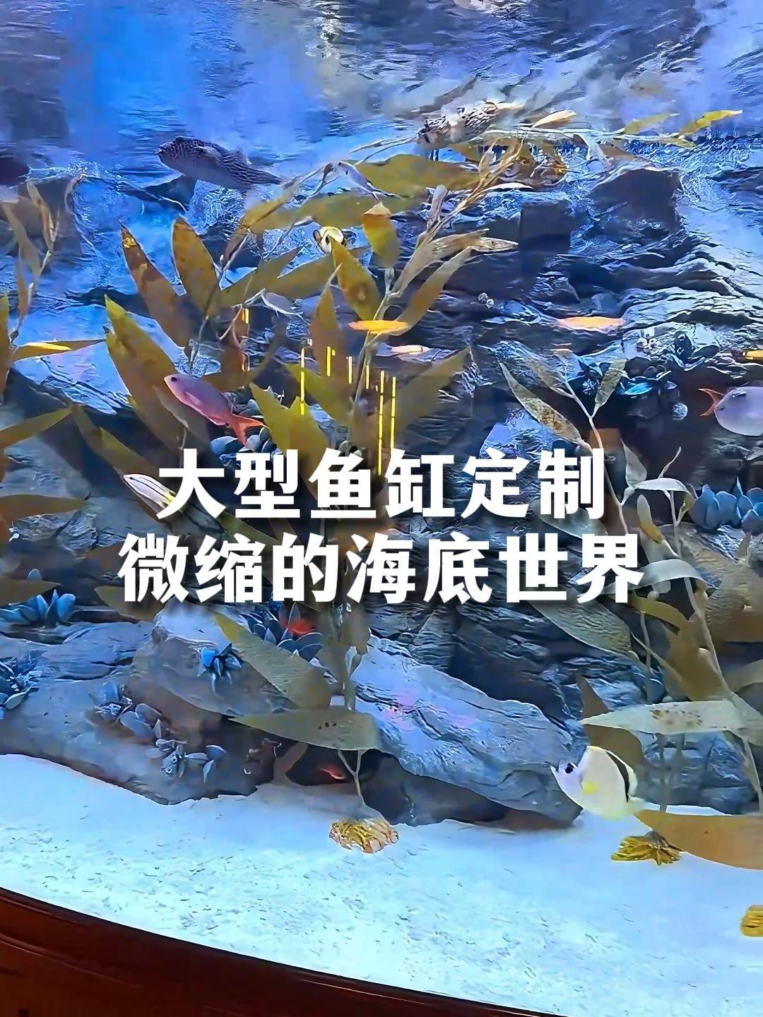 别墅大型鱼缸设计,如同一个微缩海底世界