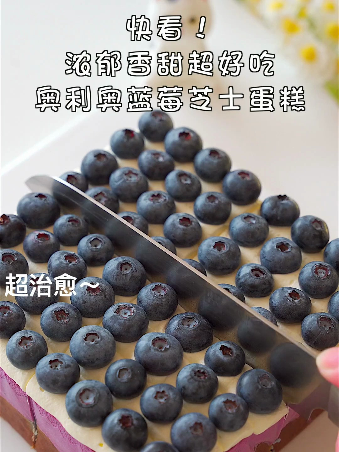 搅拌一下就能成功的奥利奥蓝莓芝士蛋糕!奶香浓郁超好吃~