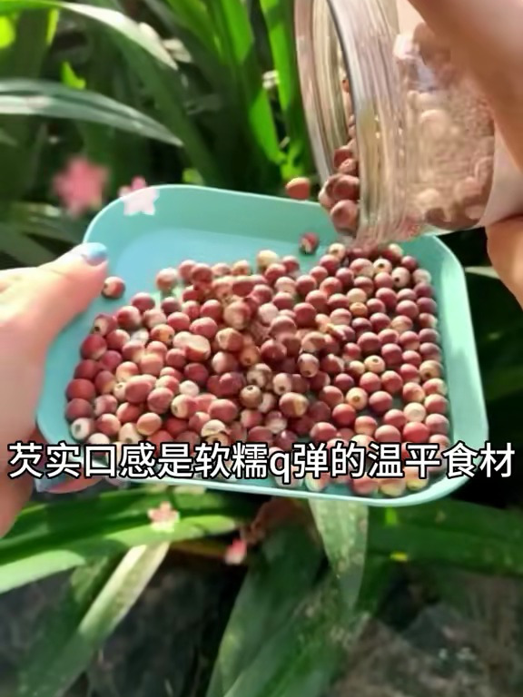 芡实也叫鸡头米,有水中人参的称号,煲汤熬粥很好吃