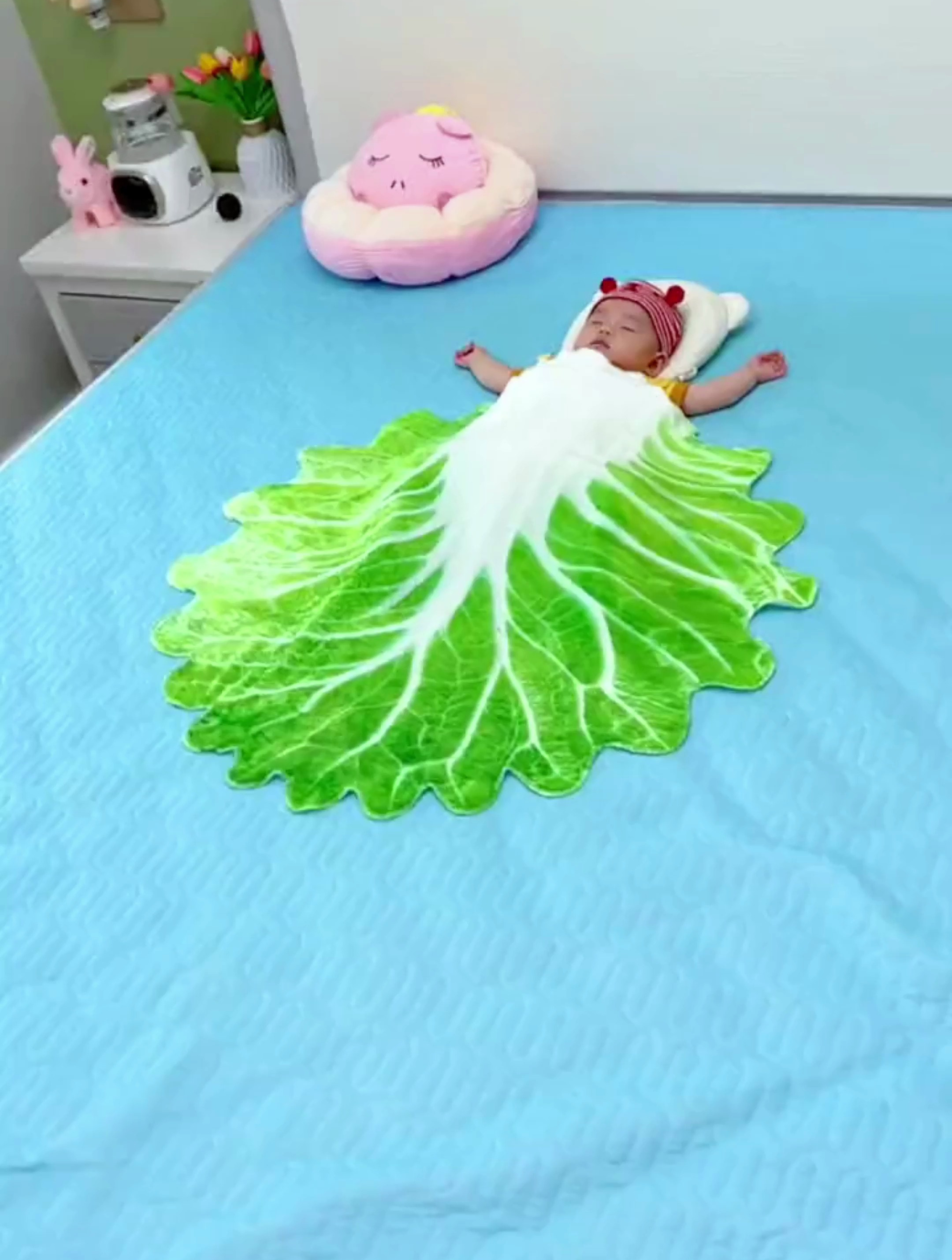 爸爸安排的白菜毯子也太可爱了吧