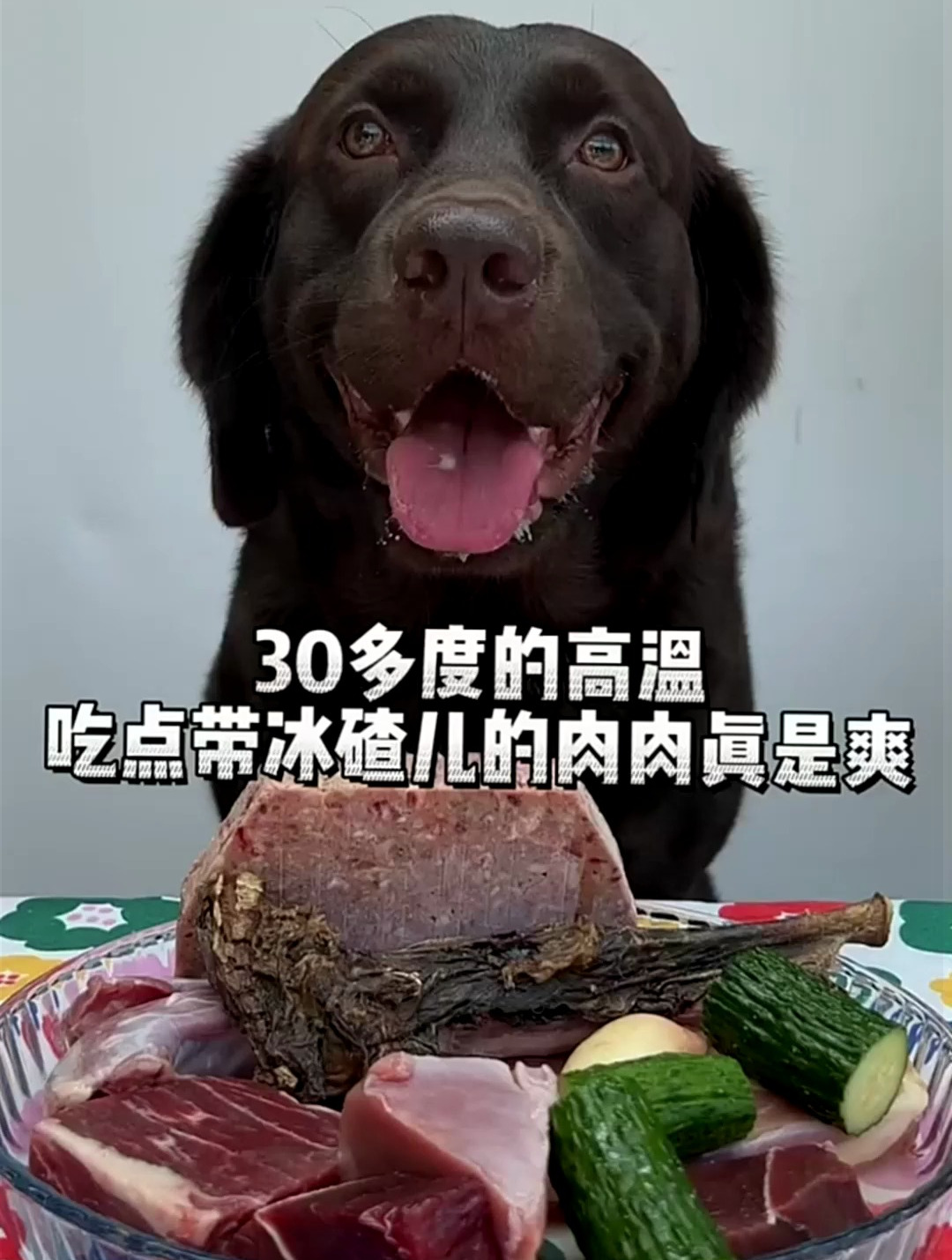 30多度的高温,吃点带冰碴儿的肉肉,真是太爽