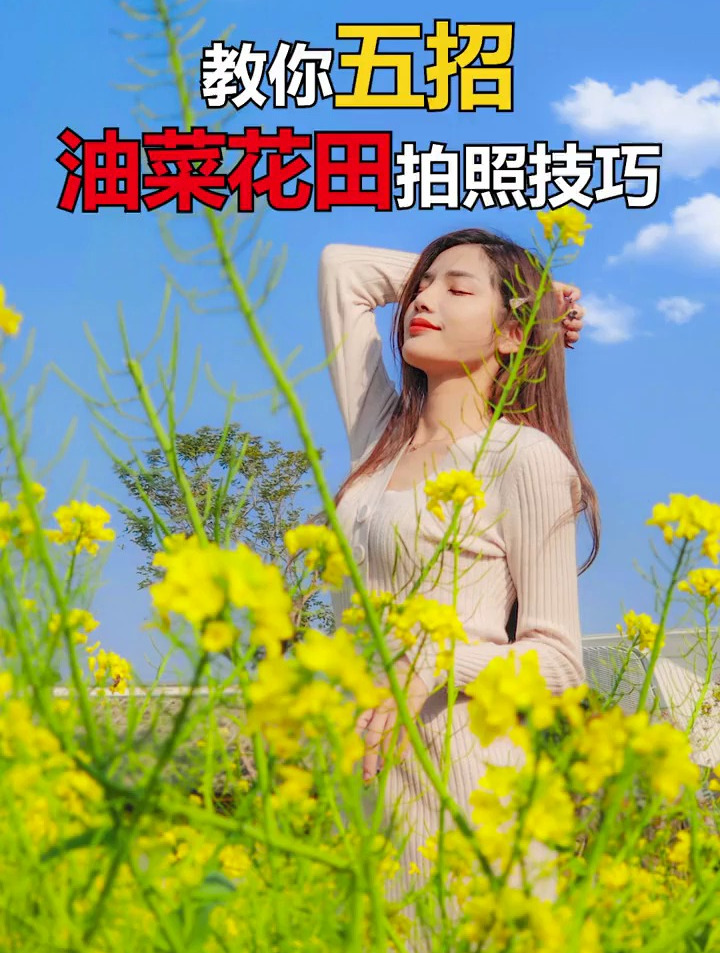 春暖花开,欢迎来看 我的姐妹拍的照片 油菜花 写真
