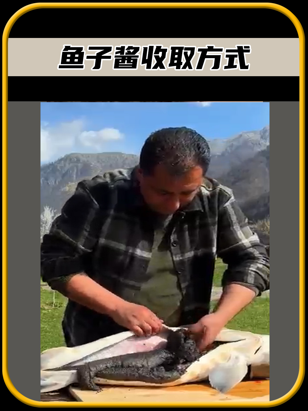 你有没有想过,鱼子酱是如何取出来的,值得一看