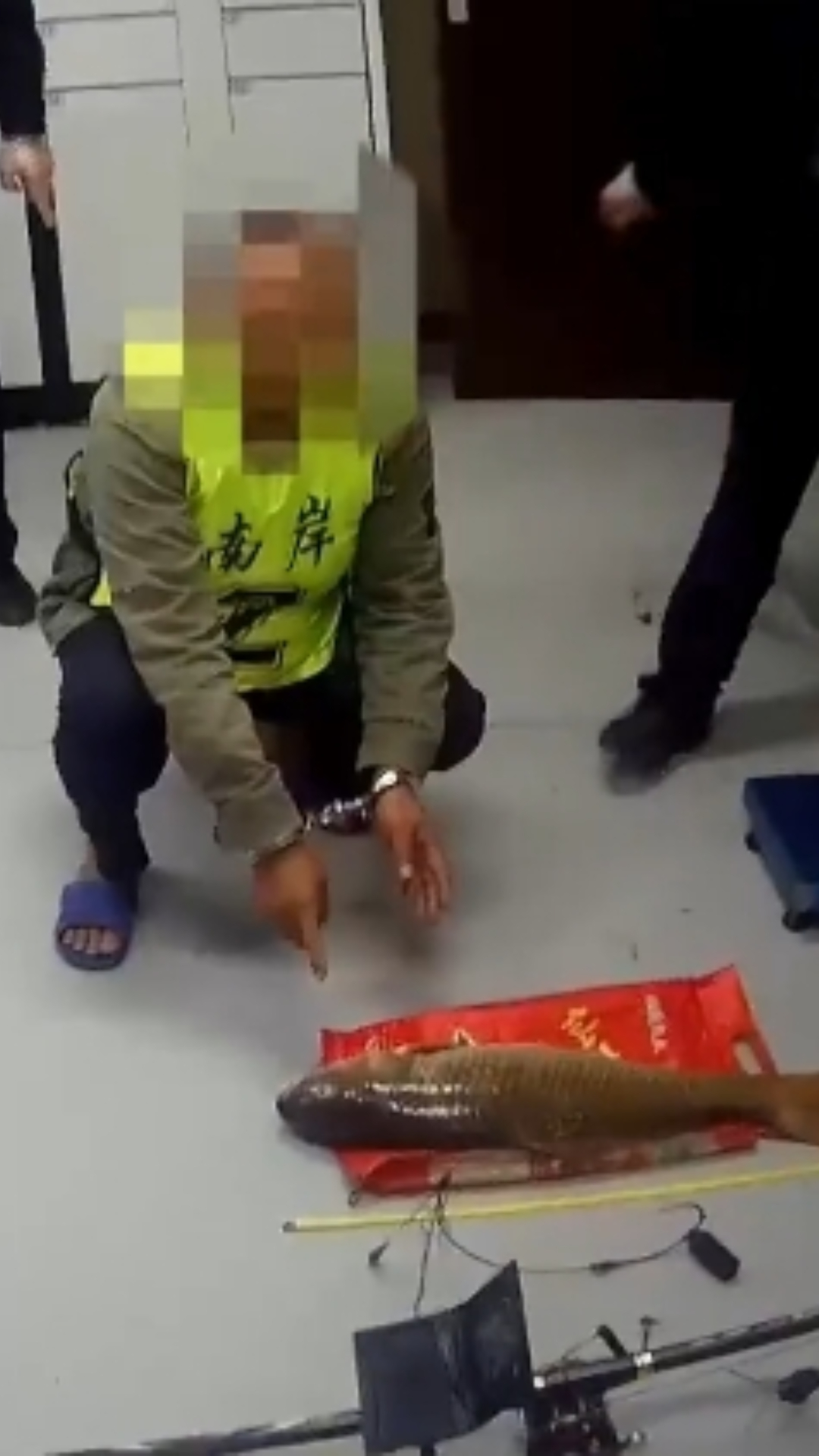男子用可视锚鱼器钓10斤鲤鱼,被采取刑事强制措施,系非法捕捞