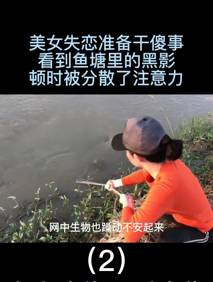 美女失恋准备干傻事看到鱼塘里的黑影,顿时被分散了注意力(2)