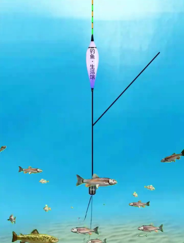 钓鱼人都应该知道的鲤鱼生活在哪个水层!