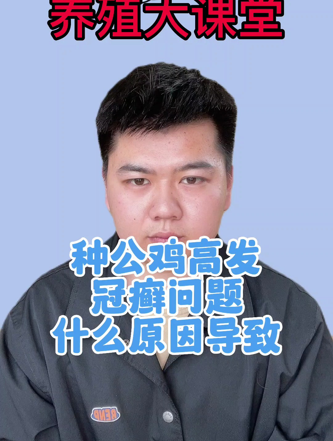 种鸡头上长鸡冠癣怎么解决鸡冠长癣如何治鸡冠癣是什么原因引起的