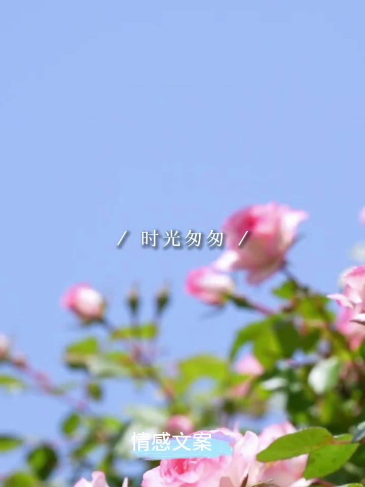 时光匆匆,岁月无声,只有经历过世事才会明白