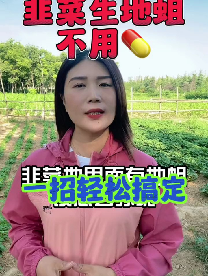 韭菜生蛆不用打药,老一辈流传下来的方法,直接用大水灌一个星期