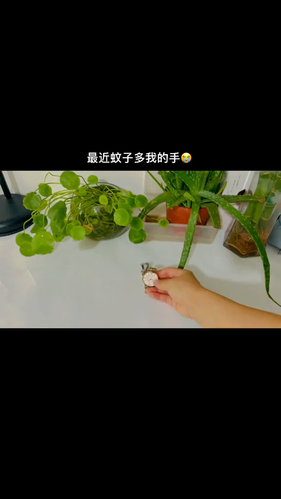 习水豆腐皮烤鱼,你绝对没有吃过