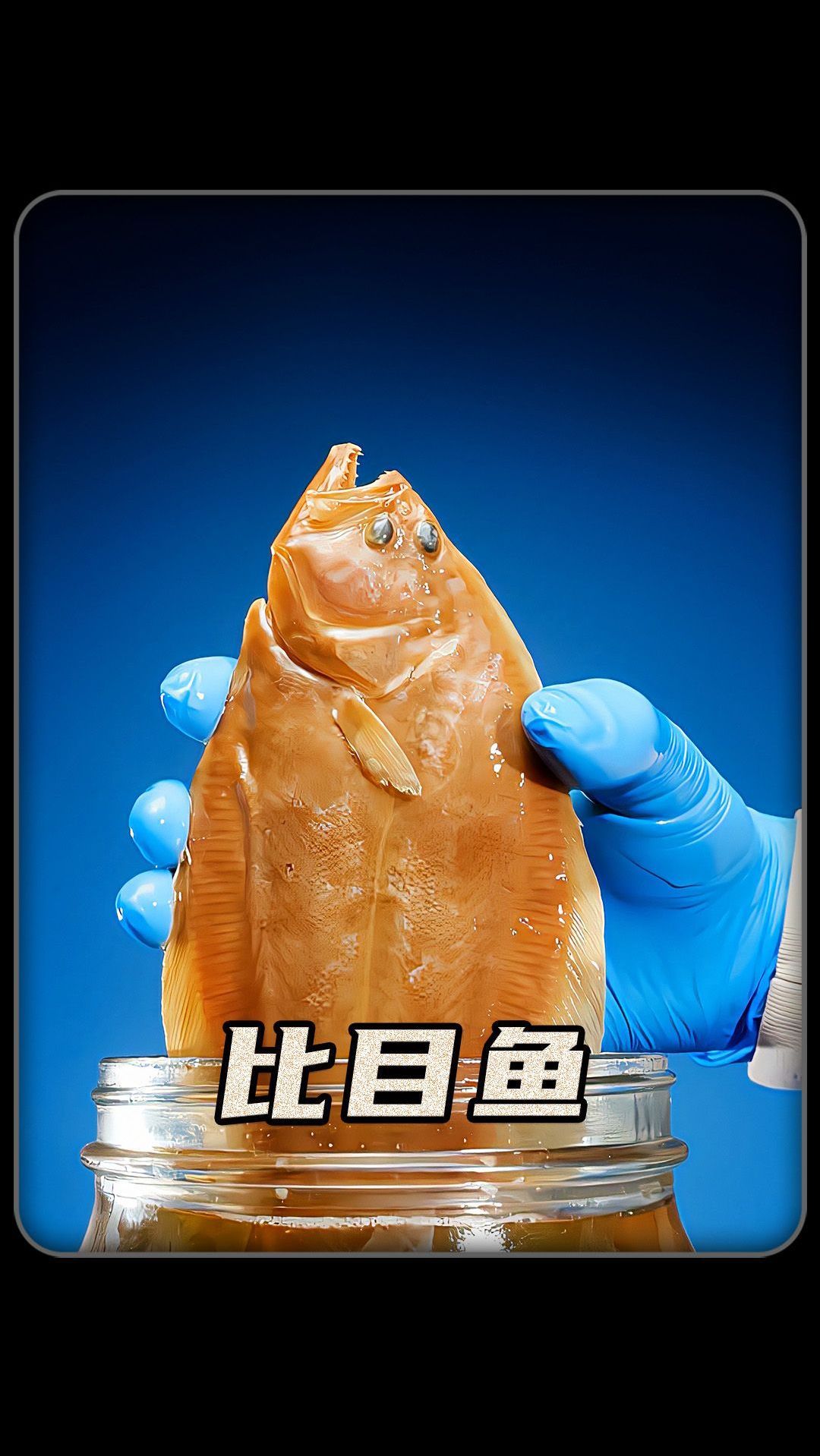 为什么比目鱼的眼睛长在一边呢?