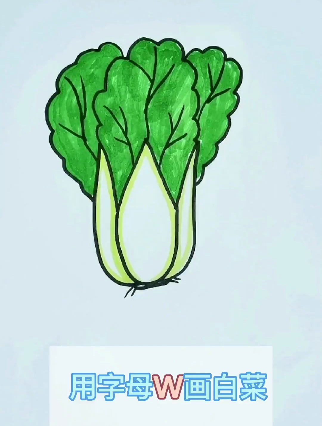 用字母W画白菜 简笔画教程 绘画教程
