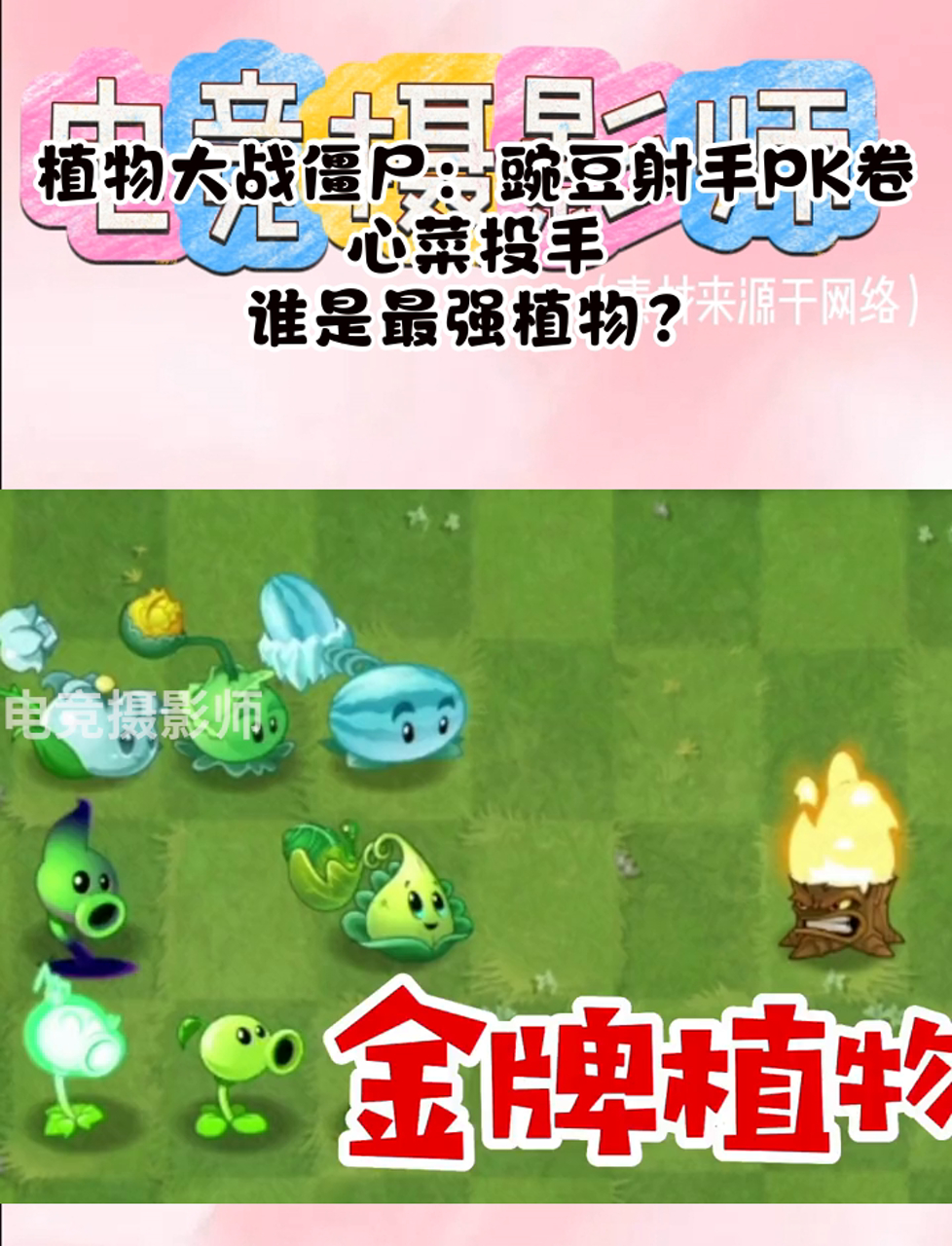 植物大战僵尸:豌豆射手PK卷心菜投手,谁是最强植物?