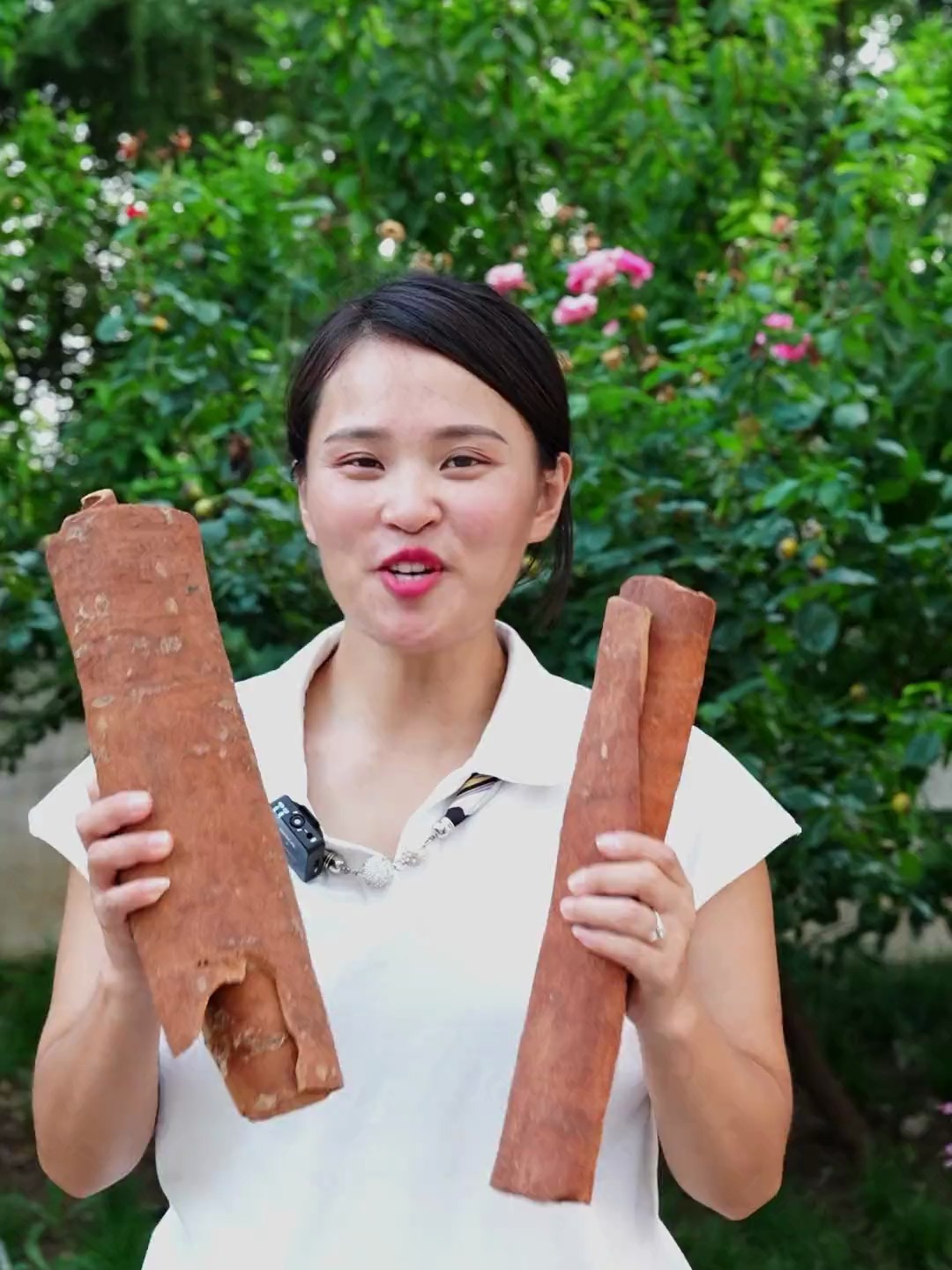 肉桂您了解的有多少呢,它只能用来做调料吗