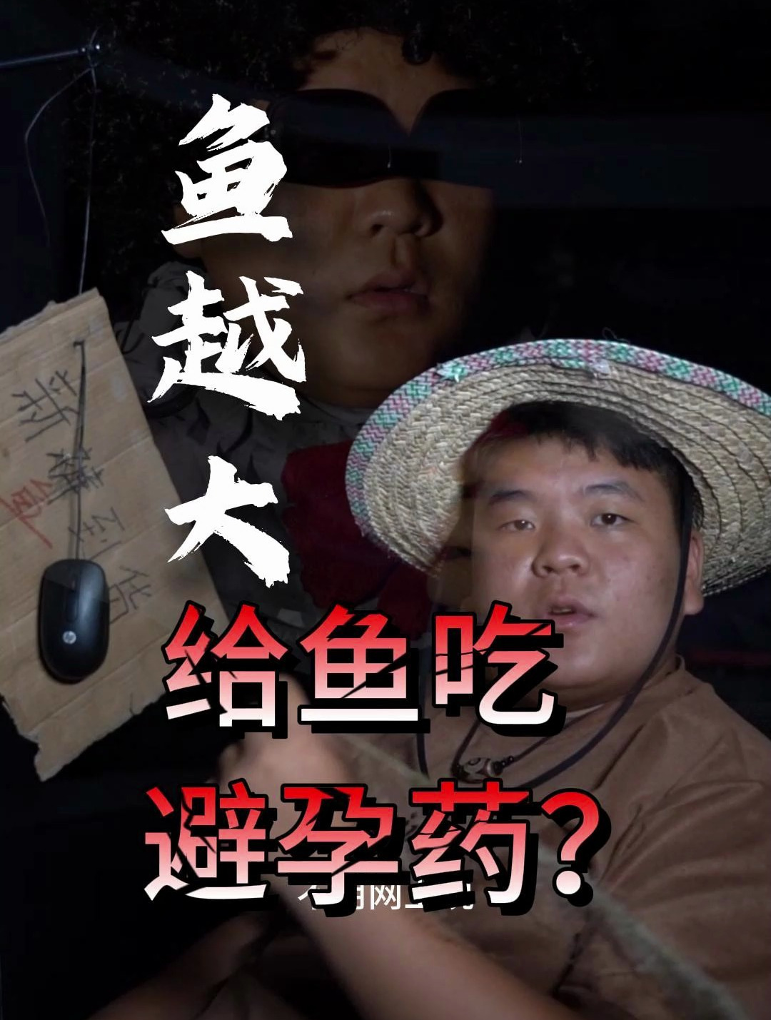 要想鱼大 给鱼吃避孕药?