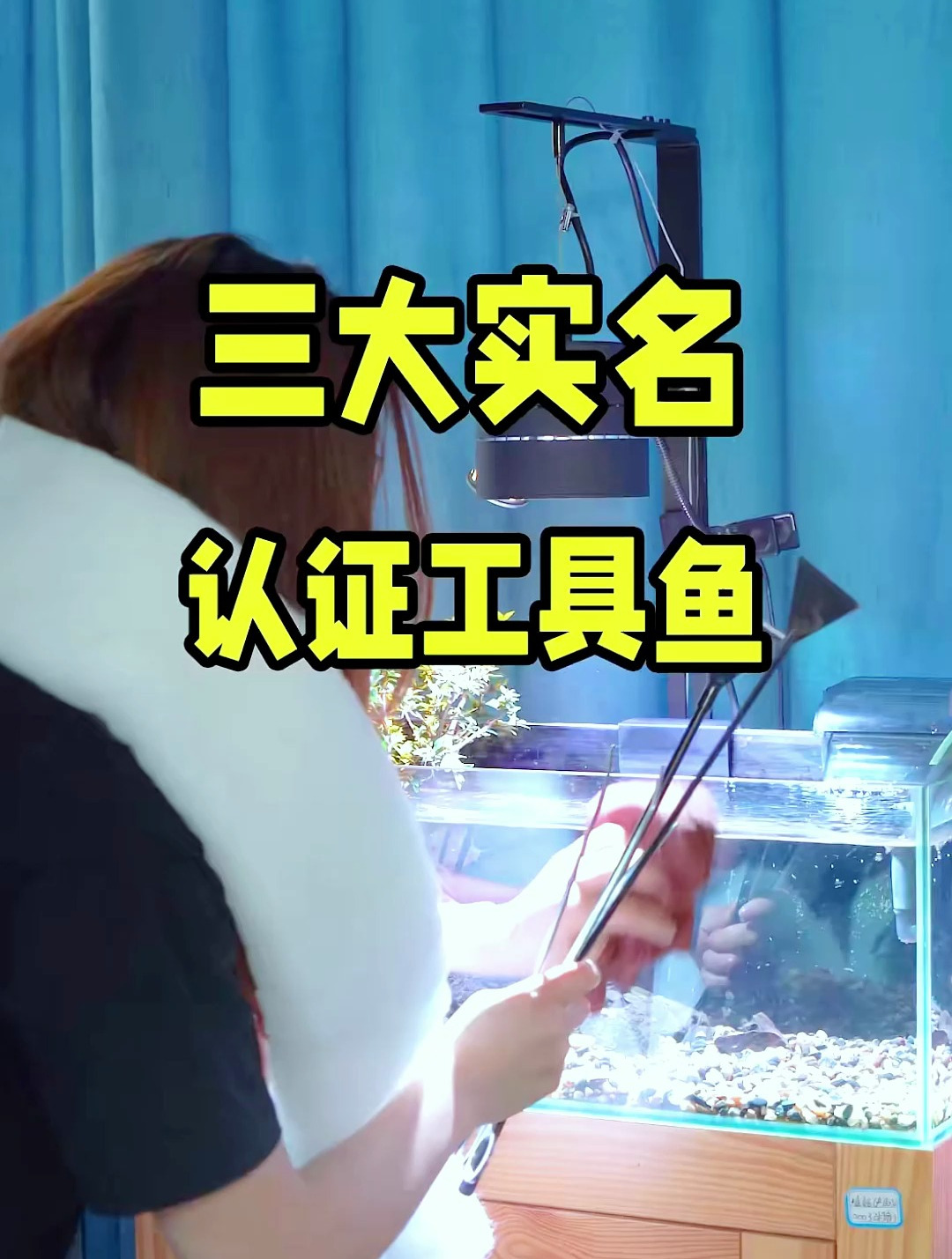 三大实名认证工具鱼!你绝对想不到最后一位是什么!