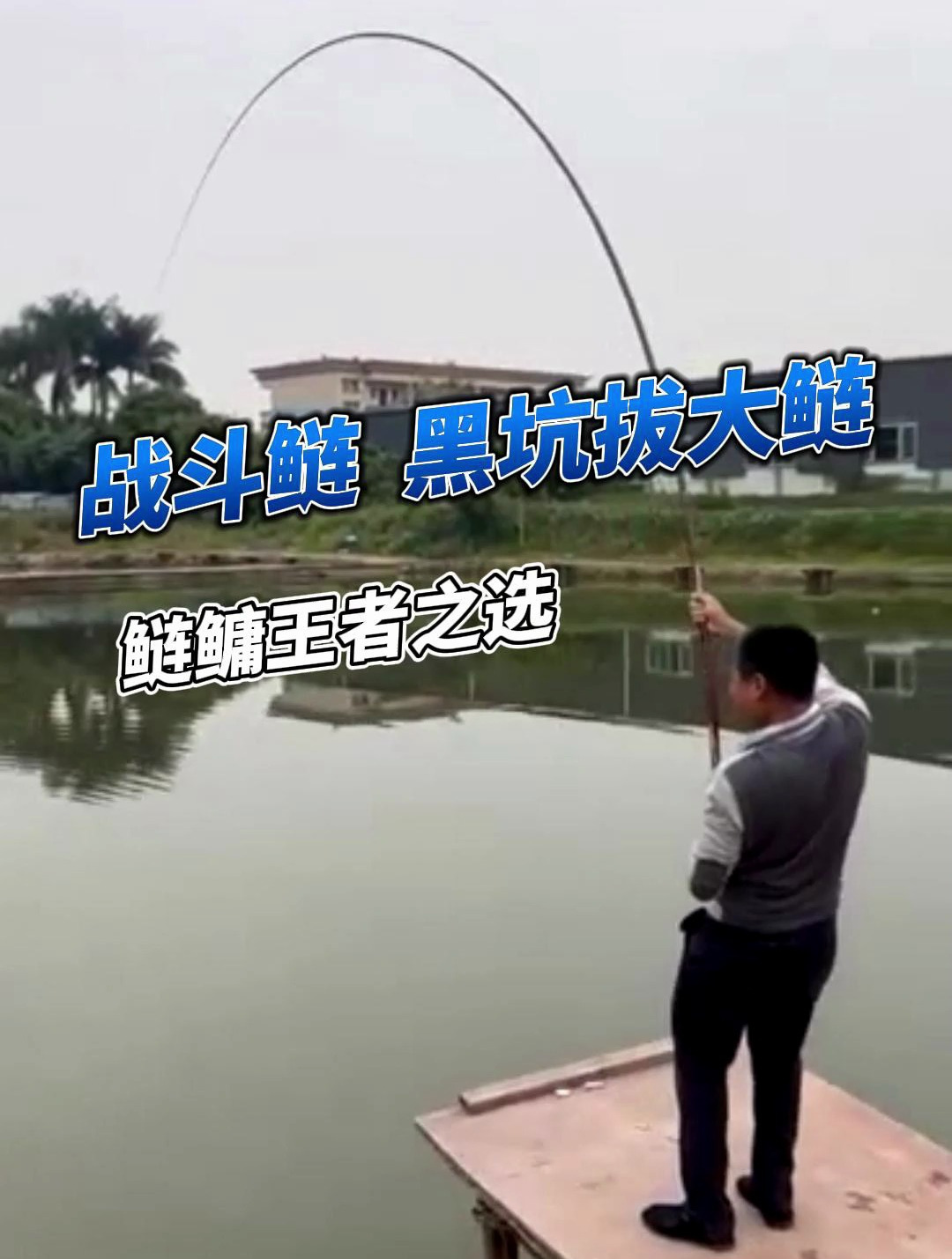 黑坑鱼竿:中逵战斗鲢钓竿,一款专为钓鲢鳙制造的钓竿!