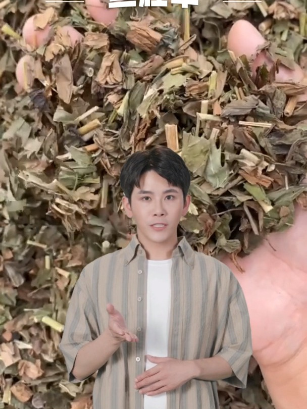 鱼腥草是什么,请大家悉知