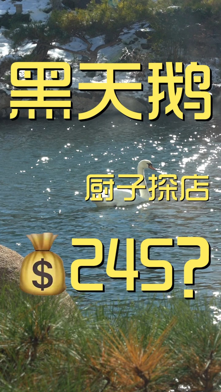 黑天鹅 厨子探店245?