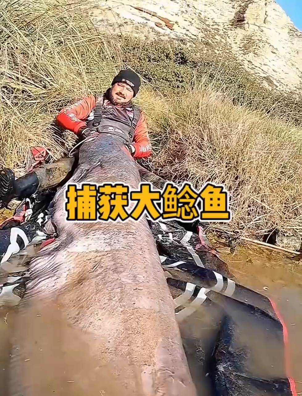 钓上一条超级大鲶鱼,太过瘾了!
