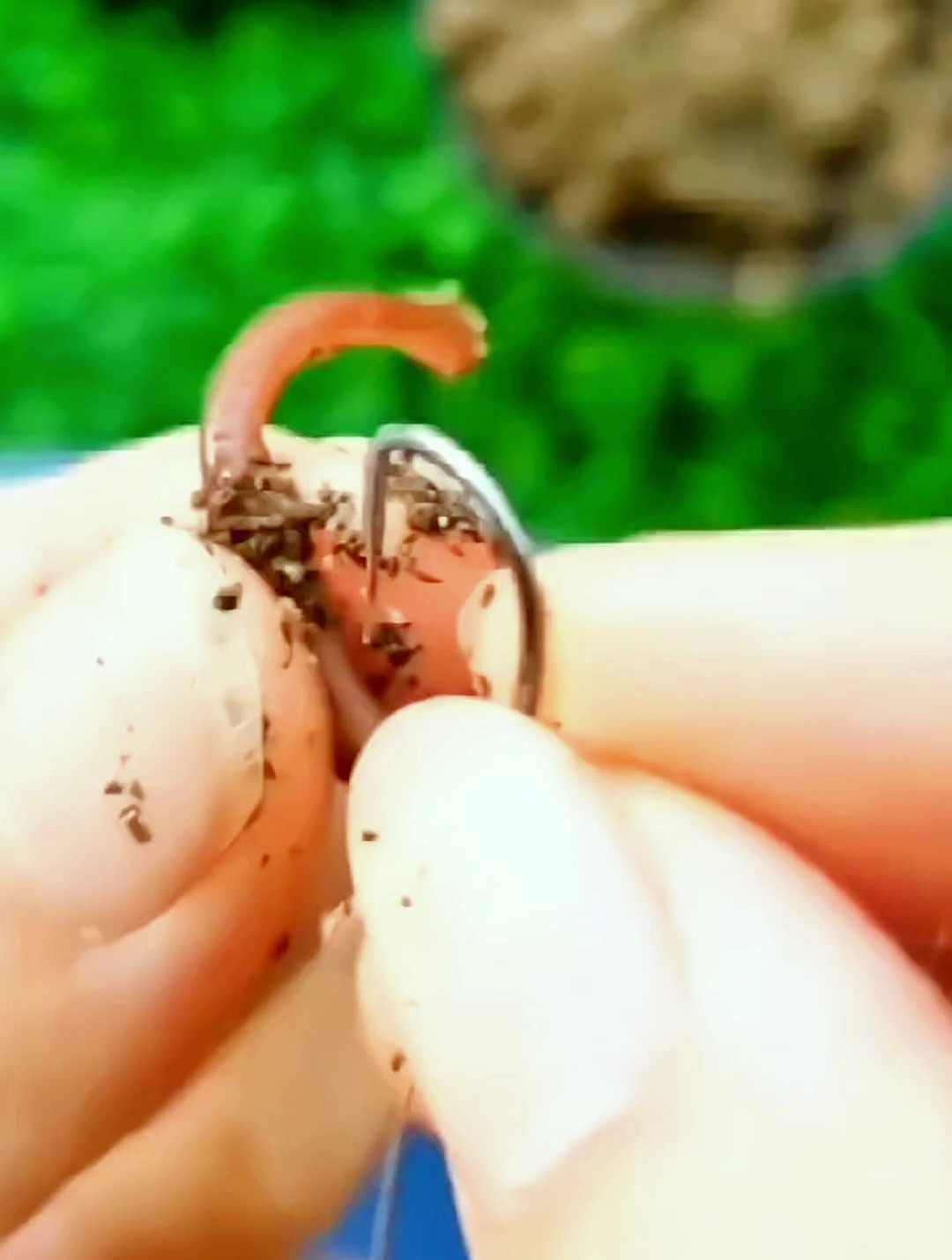 挂蚯蚓不脏手,这款不锈钢蚯蚓夹,是你的不二选择