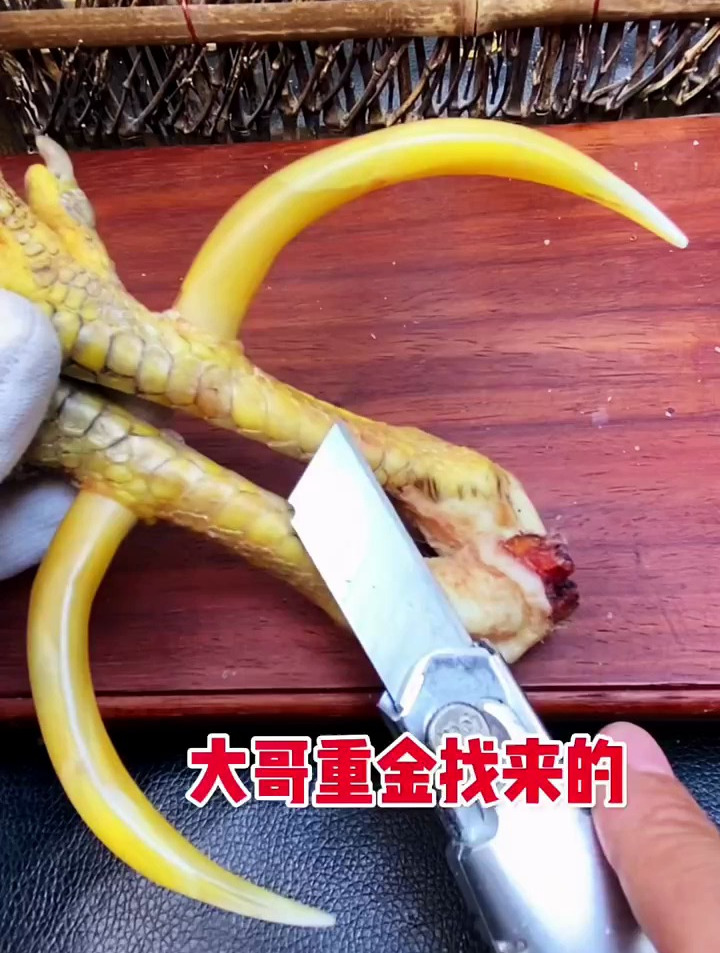 文玩鸡蹬子.我感觉大哥赚到了