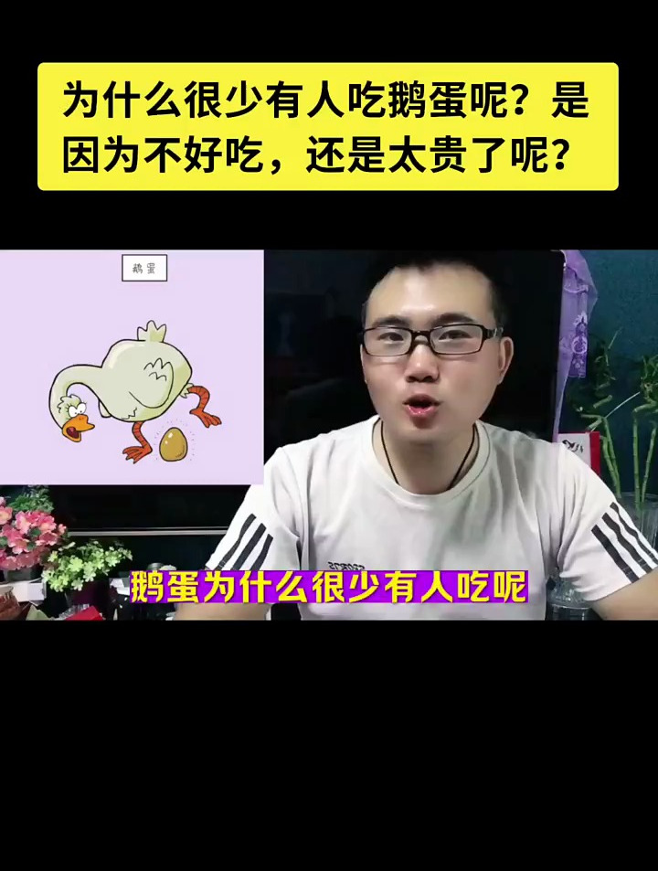 为什么很少有人吃鹅蛋呢?是因为不好吃,还是太贵了呢?
