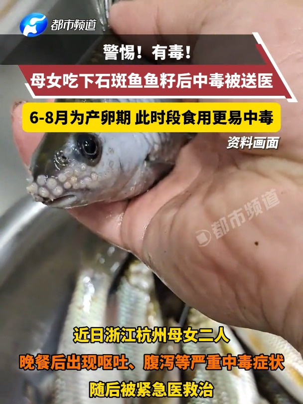 警惕!有毒!母女吃下石斑鱼鱼籽后中毒被送医,医生提醒:每年6-8月为石斑鱼产卵期,此时段食