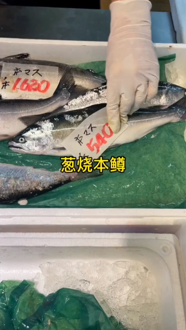 小本鳟个头不大,一顿刚刚好正合适,今天做个葱烧本鳟
