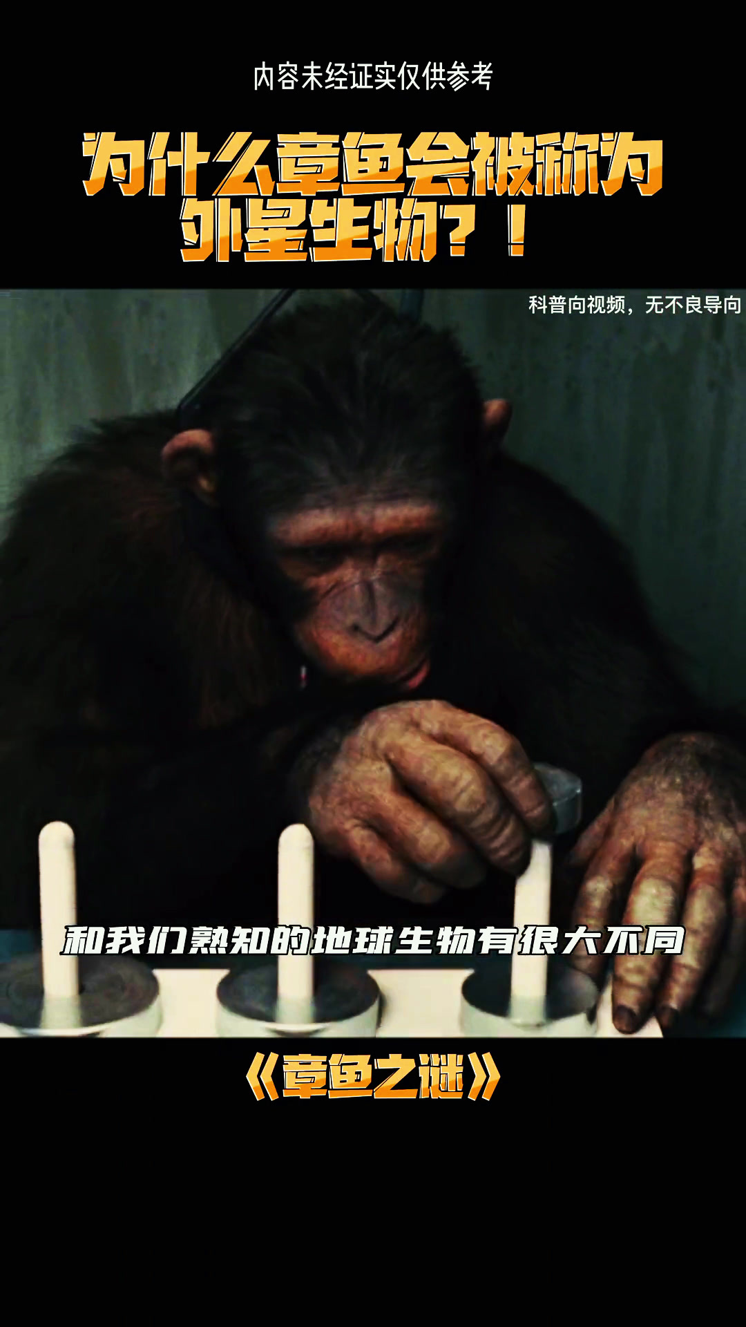 章鱼为什么会被称为外星生物?