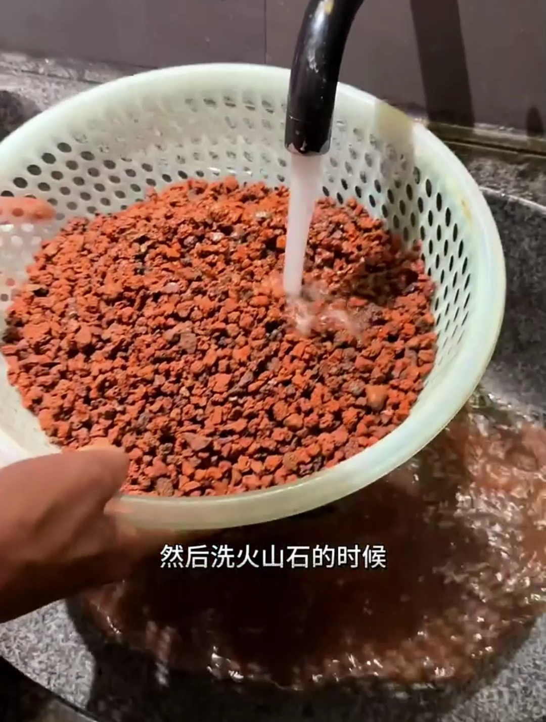 你见过用酒杯养鱼的吗?放在桌上极具观赏性!
