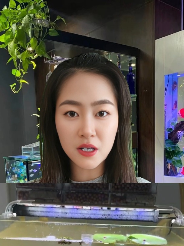 鱼缸的水发黄该怎么处理呢
