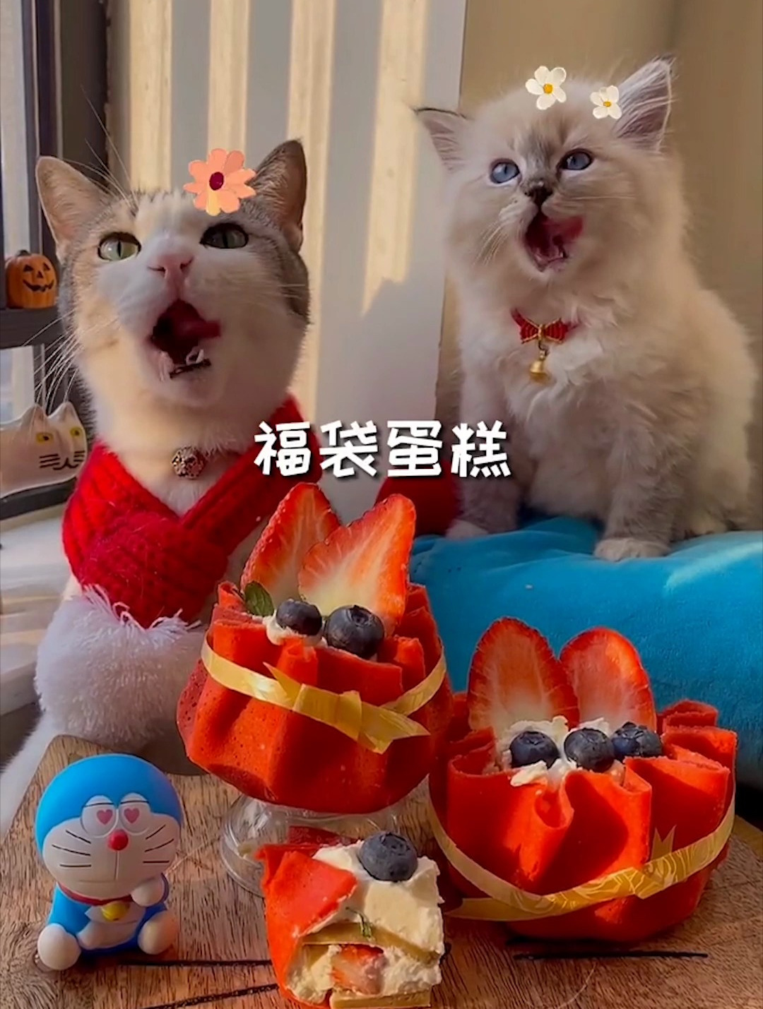 吃不完的草莓不要扔,可以做新年福袋蛋糕哦!
