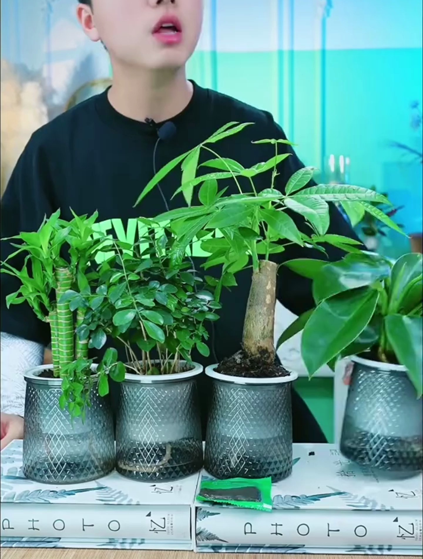 有什么寓意好而且还皮实的植物?那你一定要看看这四种植物了!