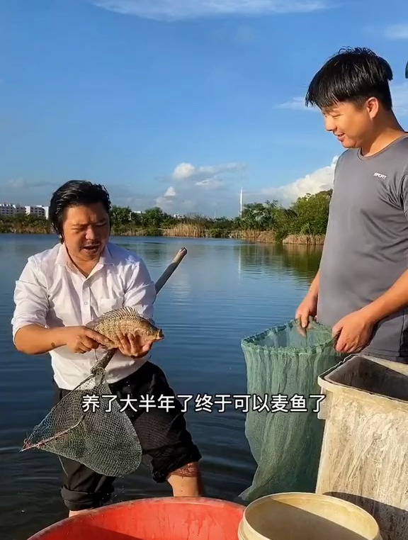 王老板终于养鱼成功了,一分耕耘 一分收获。乡村 搞笑 剧情