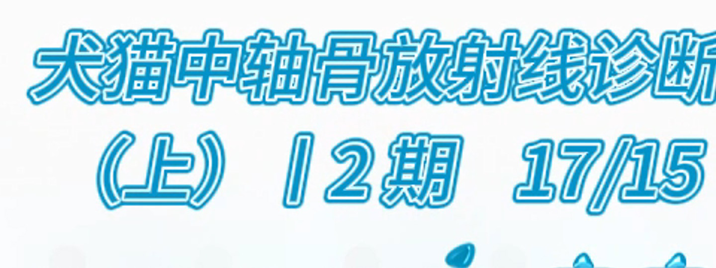 犬猫中轴骨放射线诊断(上)丨2期17/15