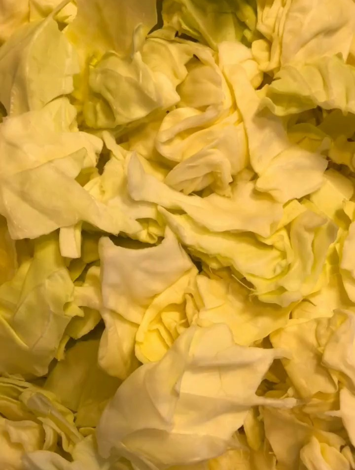 大头菜,也叫嘎达白