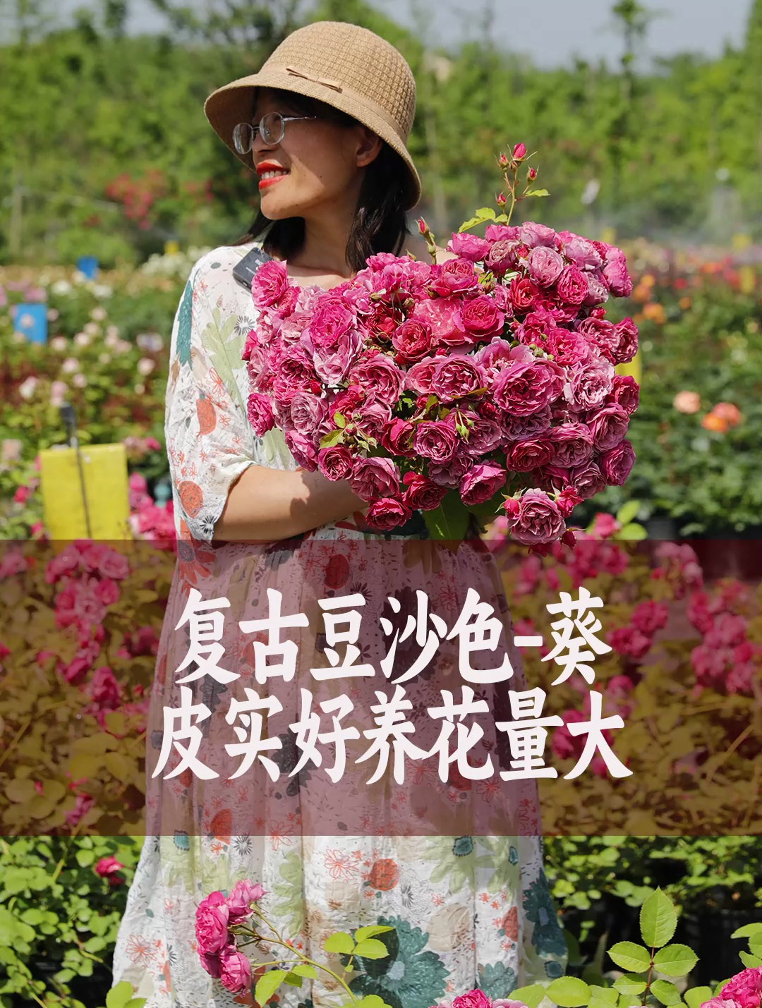 复古的豆沙色,勤花多头超能开-“葵” 一枝就是一捧花
