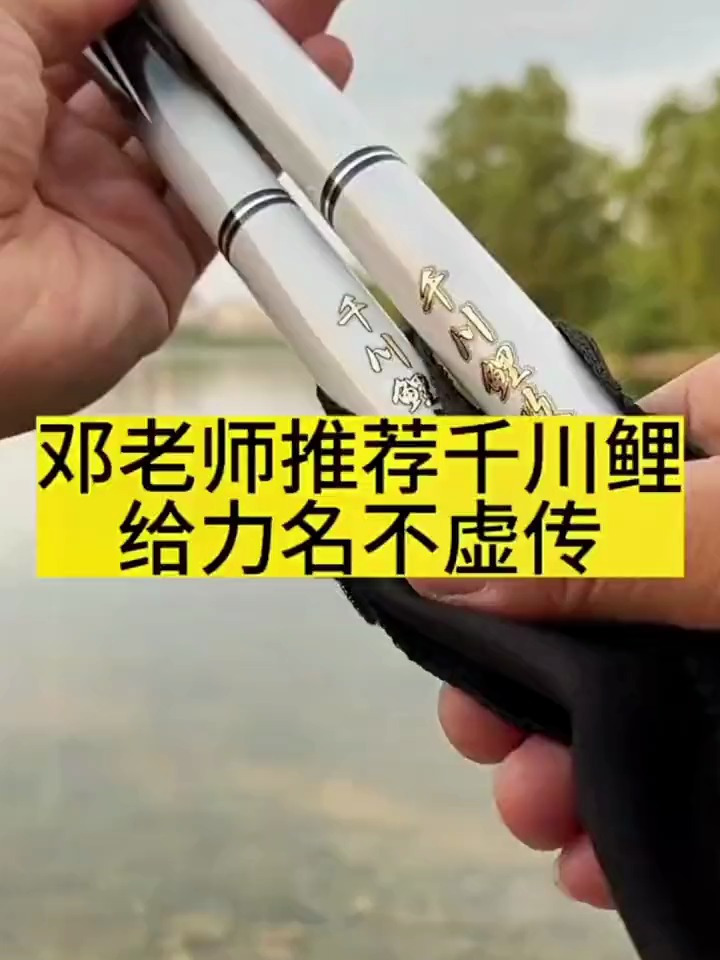千川鲤攻湖系列台钓竿手竿碳素竿鲫鱼鲤鱼竿大物鲢鳙竿