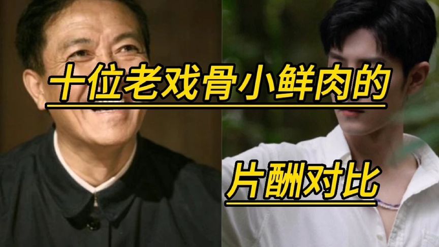 老戏骨小鲜肉片酬对比,陈道明蔡徐坤,没对比就没伤害!