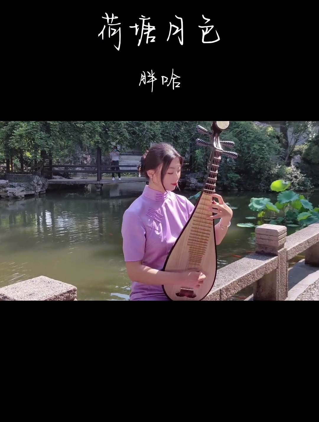 《荷塘月色》又过了四季荷花依然香,琵琶,国风古韵