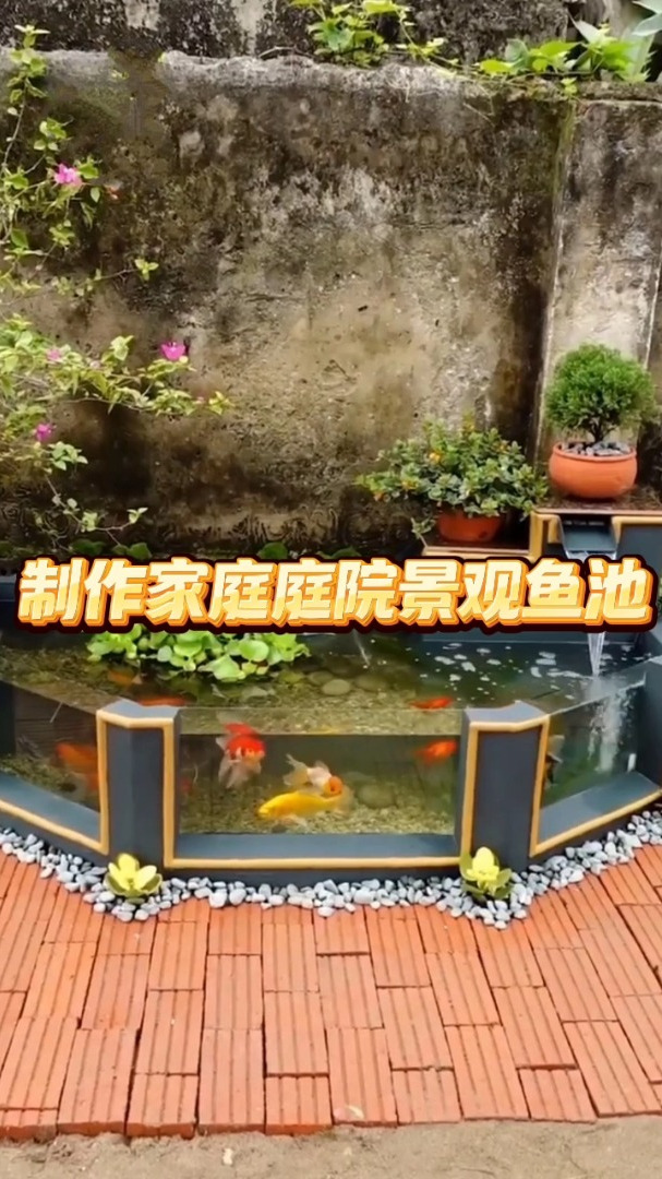 生活小妙招教你在家制作家庭景观鱼池,养鱼的同时也能兼顾生活