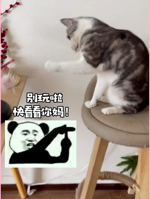 厨猫自制汤圆巧克力派 秒啊