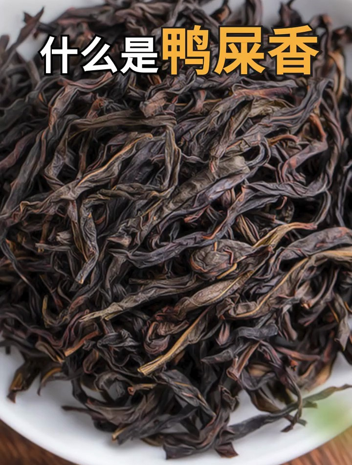 你知道什么是茶叶中的鸭屎香吗?
