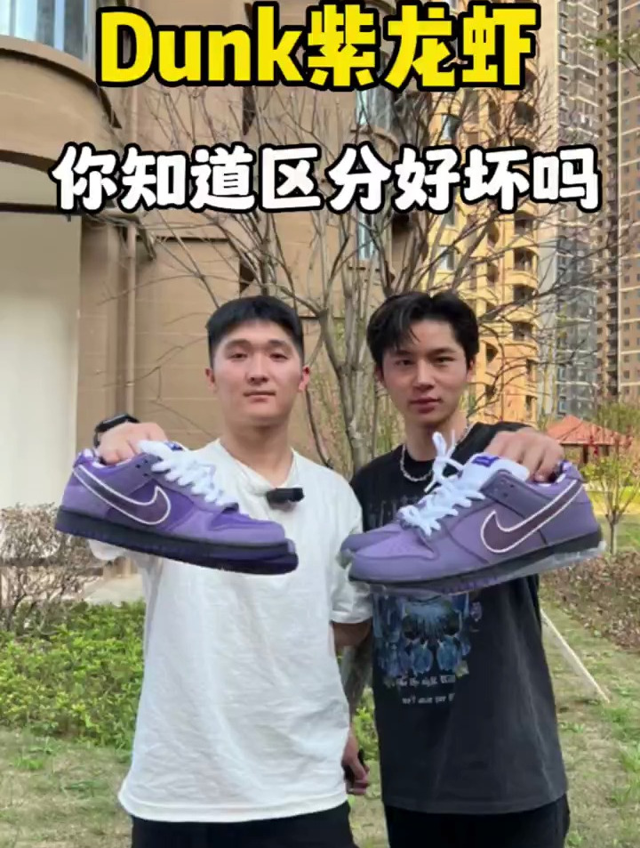 Dunk紫龙虾配色板鞋经典无比,但你知道如何辨别好坏吗?