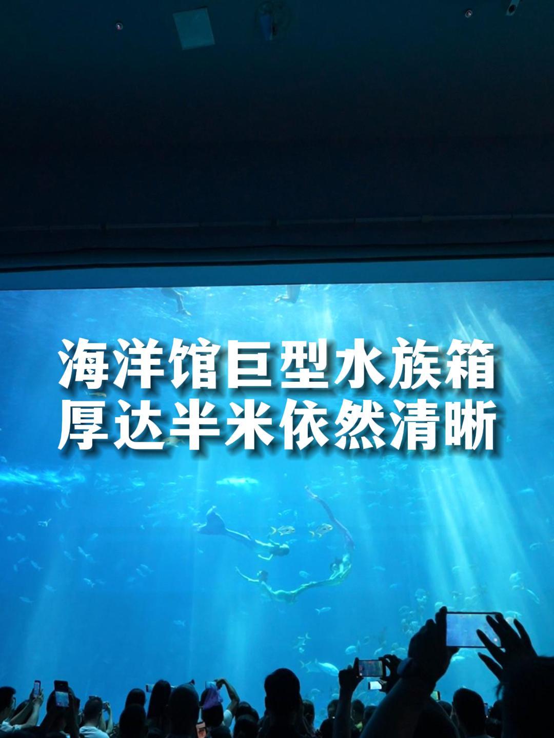 海洋馆超大水族箱亚克力玻璃厚度可达半米