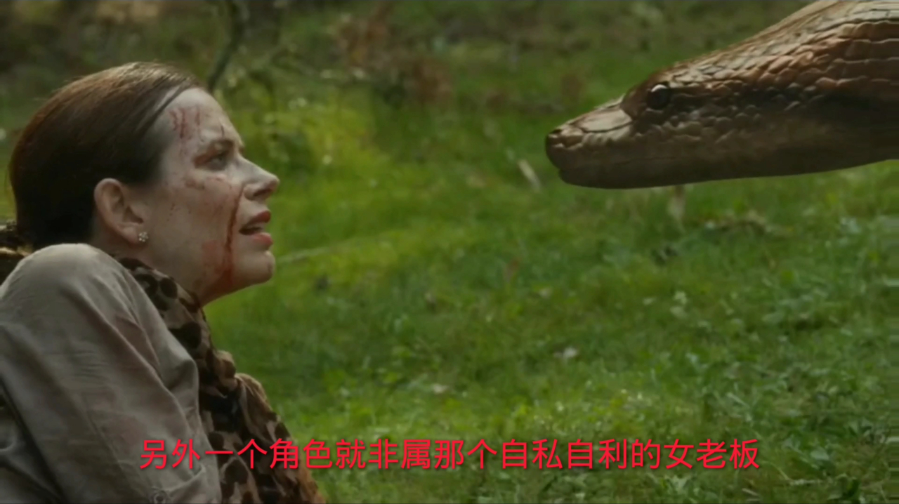 真是奇葩了,巨大的鳄鱼竟然和大蟒蛇在战争?