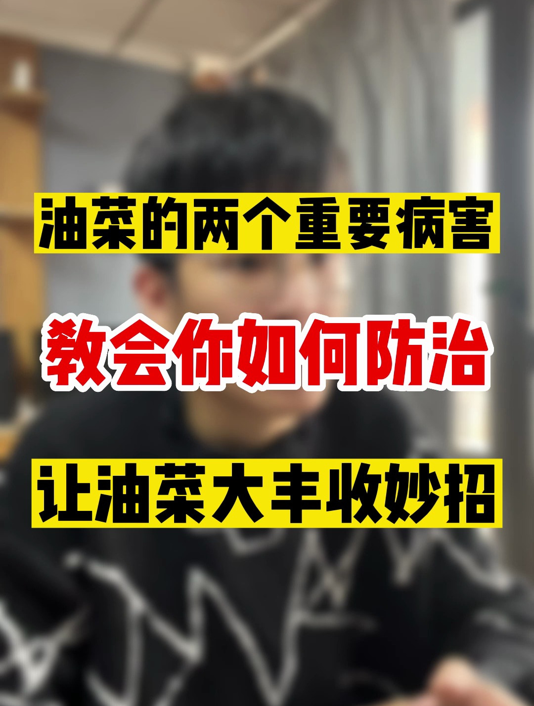 油菜的两个重要病害,防治好产量直升!